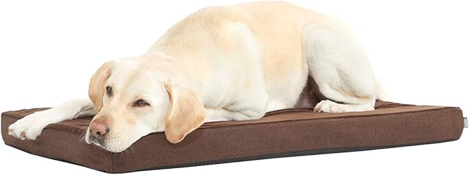 Barkbox Orthopedic Dog Bed with Memory Foam, Premium Comfort for Dogs and Puppies, Dog Bed for Joint Relief and Restful Sleep, Durable and Easy to Clean - Espresso, Large