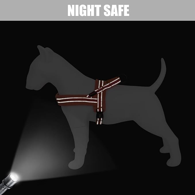 Didog Soft Flannel Padded Dog Vest Harness, No Pull/Quick Fit Reflective Dog Strap Harness, Easy for Training Walking (S:Chest 18-22", Orange)