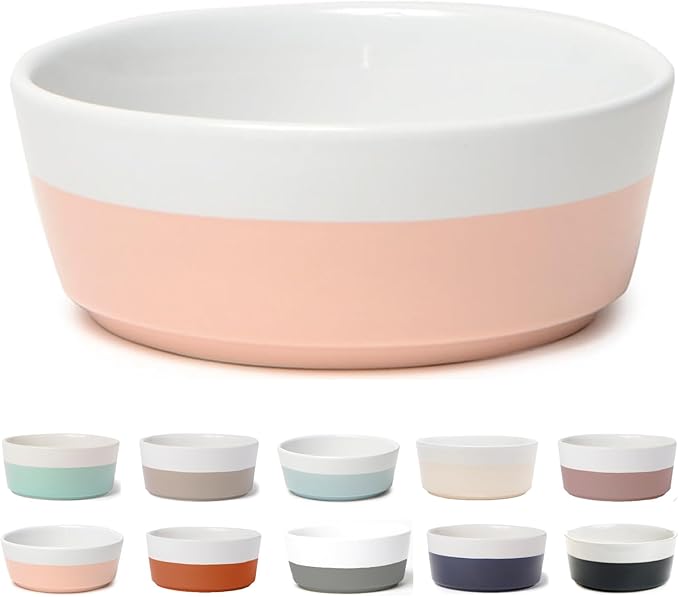 Waggo Dipper Ceramic Dog Bowl for Small and Large Breeds - Heavyweight and Durable Pet Food and Water Dish Crock, Dishwasher Safe, Modern (Rose, Small)