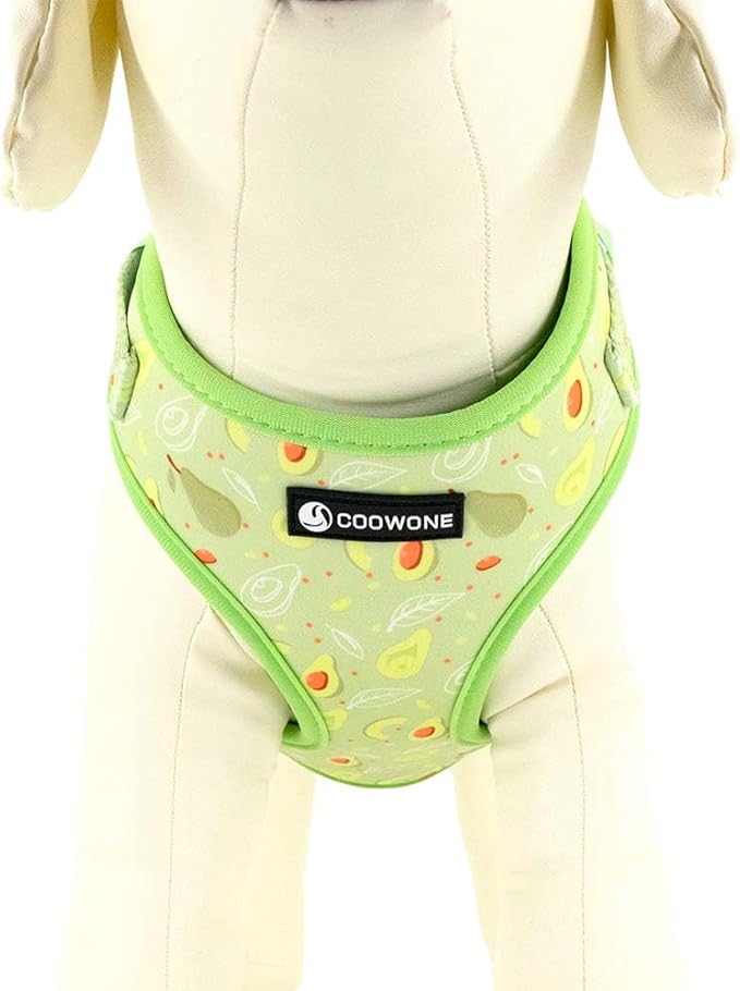 Dog Harness and Leash Set, Adjustable Dog Harness, Dog Leash, No Pull No Choke Puppy Harnesses for Walking Training for Small Medium Pet