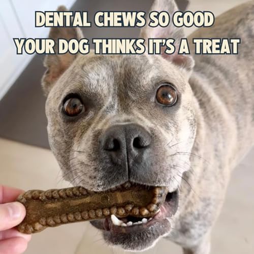 Jiminy's Dental Chews for Dogs, Cinnamon Flavor, Scientifically Proven to Improve Oral Health, Dental Bones Clean Teeth, Fight Bad Breath, and Removes Plaque and Tartar, Small, 20ct (Pack of 6)