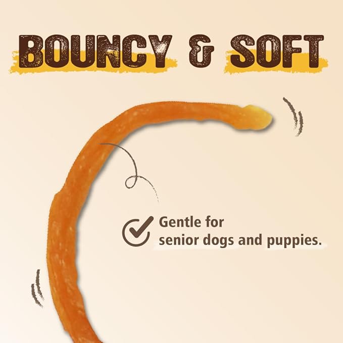 Gootoe Soft Turkey Tendon Stirip with Pumpkin 1 lb, Natural Chewy Snack, USA-Sourced Turkey Tendon, Premium Training Chew, Reseal Value Bag, Ideal for Small & Senior Dogs, Jumbo Pack