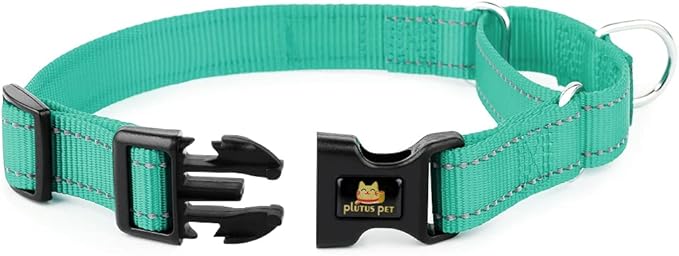 Plutus Pet Reflective Martingale Collar with Buckle - Durable and Adjustable Training Collar for No Pulling, Dog Choker Collar for Small Medium Large Dogs, Teal, M