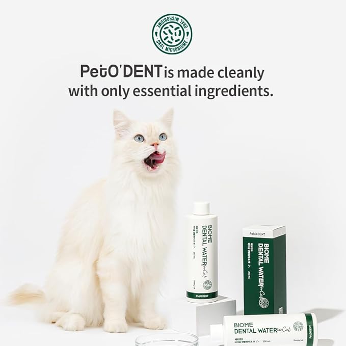 PetO’Dent Dental Water Additive for Cats–No Brushing Needed, Fresh Breath, Tartar Control & Gum Care with Catnip & Silvervine Extracts, 8.45 fl oz / 250ml