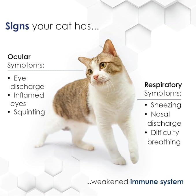 Felisyl Immune System Support(L-Lysine) Granules for Cats 3.5oz(100g)