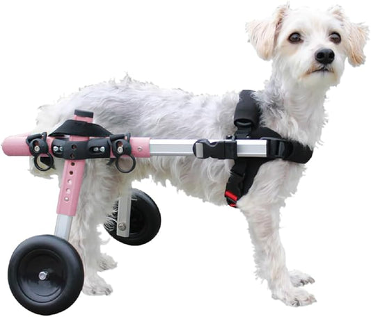 Walkin' Wheels Small Dog Wheelchair, Lightweight Dog Wheelchair for Back Legs, 11-14 lbs, for 9-13 inches Leg Height - Pink