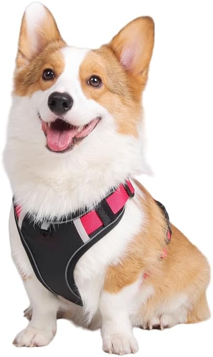 Dog Harness,Cat Harness All-in-One Dog Vest, Anti-Pull, Anti-Suffocation Reflective Dog Vest for Small, Medium, and Large Dogs and cat (Black, M(Chest:18-24.8",Neck:(17.3-21.2"))