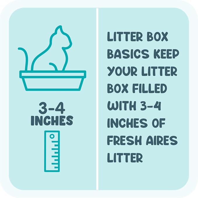 Silica Crystal Cat Litter, 6 lb | Unscented, Lightweight, Non Clumping Cat Litter | Low Dust & Tracking, Long-Lasting Odor Control Crystal Kitty Litter for Cats and Kittens (Pack of 2)