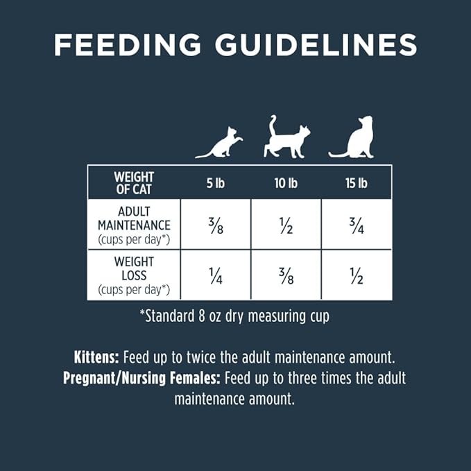 Instinct Raw Boost, Natural Dry Cat Food with Freeze Dried Pieces, High Protein, Grain Free Recipe - Real Chicken, 10 lb. Bag