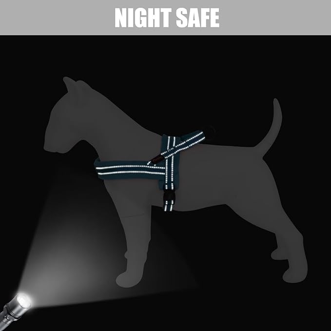 Didog Soft Flannel Padded Dog Vest Harness, No Pull/Quick Fit Reflective Dog Strap Harness, Easy for Training Walking (M:Chest 21-26", Blue)