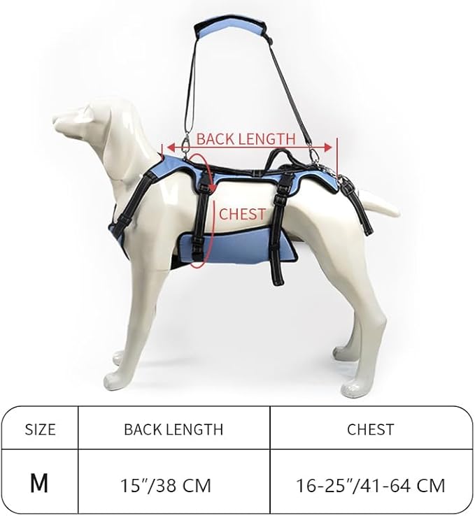 Coodeo Dog Lift Harness, Support & Recovery Sling, Pet Rehabilitation Lifts Vest Adjustable Breathable Straps for Old, Disabled, Joint Injuries, Arthritis, Paralysis Dogs Walk (Blue,M)