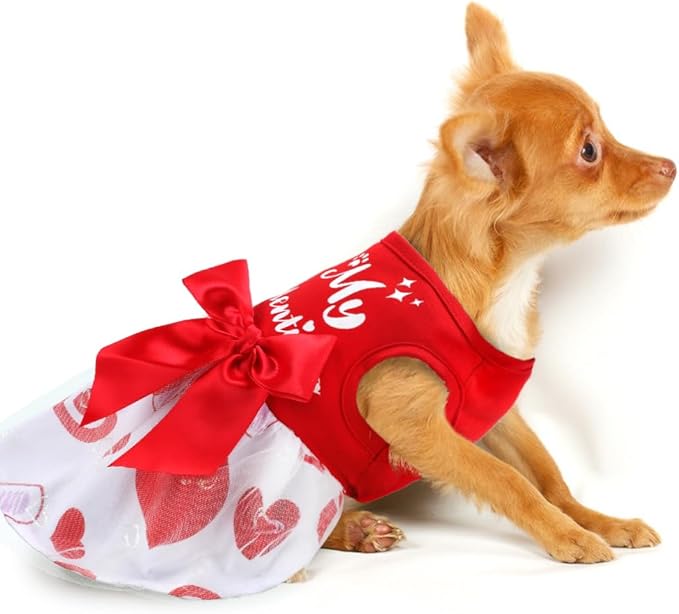 Dog Valentines Day Clothes Be My Pawlentine Dog Valentines Outfit Red Tulle Dog Dress with Bowknot for Small Medium Large Dogs Cat Girl
