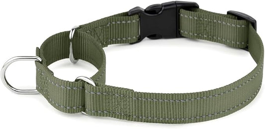 PLUTUS PET Reflective Martingale Collar with Quick Snap Buckle,No Pull Dog Choker Collar for Small Medium Large Dogs, M, Ranger Green