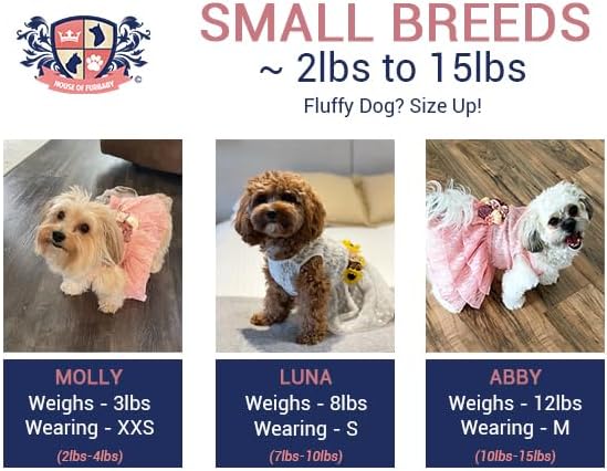 Sunflower Dog Dress, Navy Sunflower Wedding Dog Dress, Dog Flower Girl Dress, The Dorothy, Wedding Dog Dress, Dog Clothes (X-Small (3-6 lbs))