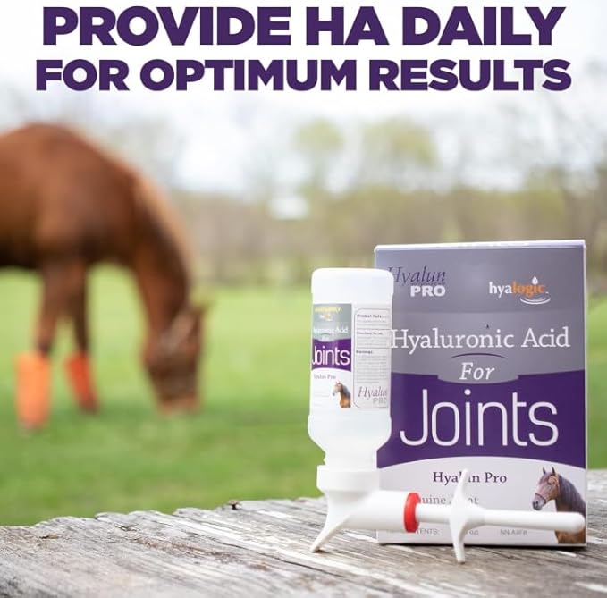 Hyalogic Hyalun Pro 30 - Hyaluronic Acid Joint Support Supplement for Horses – Horse Care Solution with Easy-to-Use Oral Dispenser – Supports Healthy Joints & Cartilage - 30-Day Supply (3oz / 90ml)