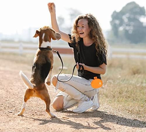 New Oasis Dog Treat Pouch, 10oz Silicone Treat Pouches for Pet Training BPA Free Small Dog Treat Bag for Leash, Orange