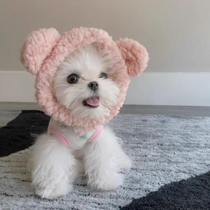 5 Pcs Cat Costume Hats – Cute Lion Mane & Bunny Ears Headwear for Cats,Kitten Puppy Party Easter Costume Accessory Headwear(Lion, Bunny, Banana,Sunflower,Purple Bear)