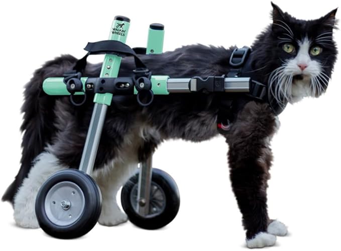 Walkin' Wheels Lightweight – for Small Cats 2 to 20 Pounds – Veterinarian Approved – Cat Wheelchair for Back Legs, for Cats 11-20 lbs, 3-6 inches Leg Height – Seafoam