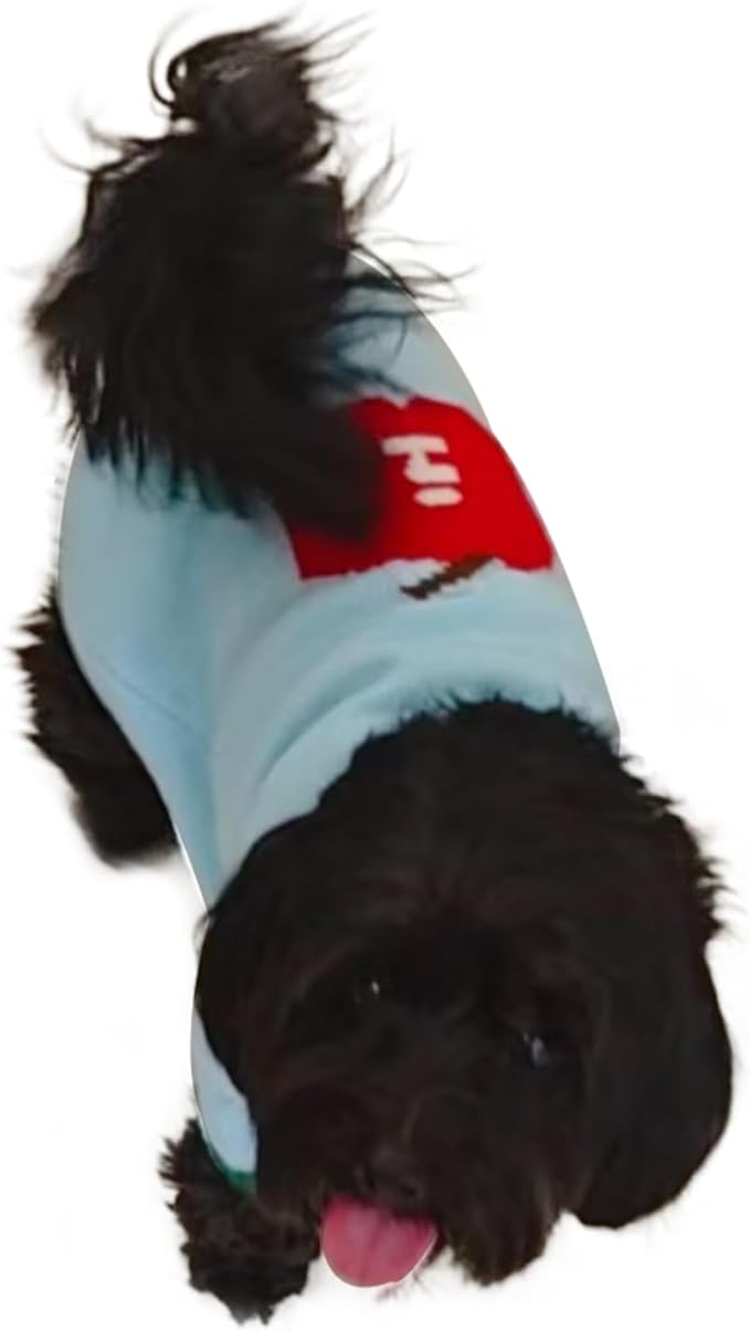 Winter Pet Knit Sweater - Light Blue with Red Fruit Print, Cozy Dog Cat Clothing, XS/S/M/L/XL Sizes (Small)