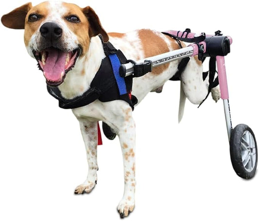 Walkin' Wheels Dog Wheelchair - for Medium Dogs 26-49 lbs - Veterinarian Approved - Dog Wheelchair for Back Legs