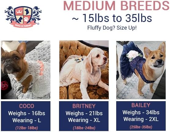 Sunflower Dog Dress, Navy, Lace, 5X-Large (60-95 lbs), Wedding, Birthday, Graduation, Handcrafted, All-Day Comfort