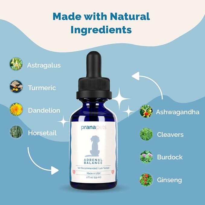 PranaPets Adrenal Balance for Dogs with Cushing's | Naturally Relieves Symptoms of Cushing's Disease in Dogs | Licorice Free Herbal Formula for Dogs with Cushing's Disease - 2 Pack