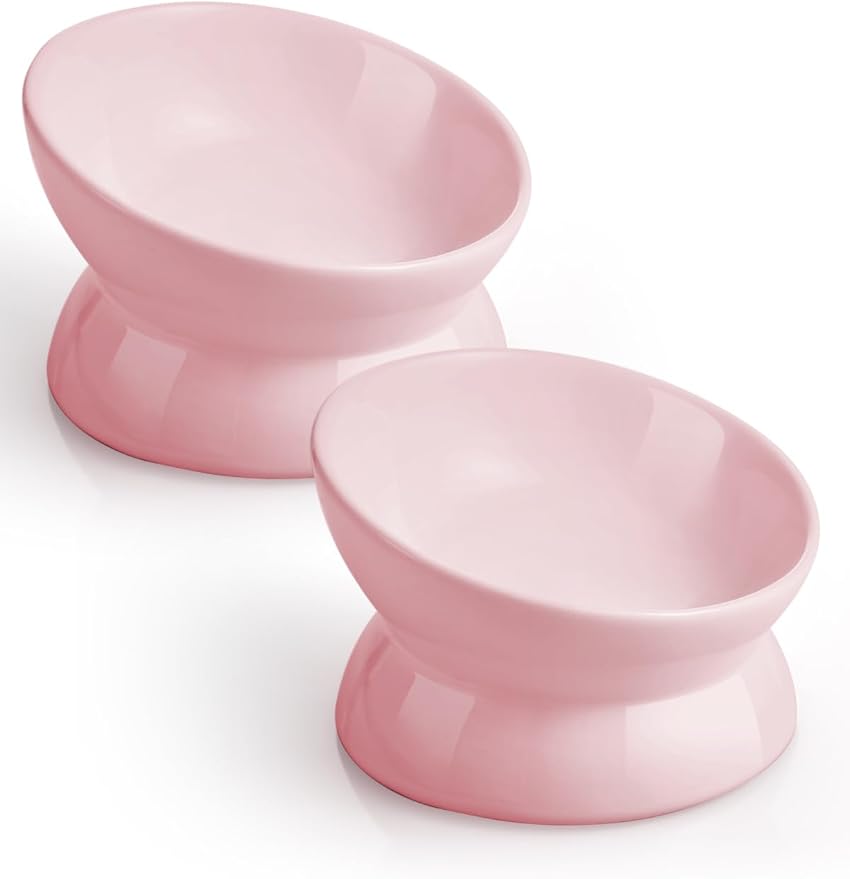 LoeJan Elevated Cat Food Bowl, 5 Oz Ceramic Raised and Tilted Water Bowl, Anti Vomiting and Protect Pets' Spines Dishes for Small Dog, Fat Faced Cat, Kitten (Pink, 2 Pack)