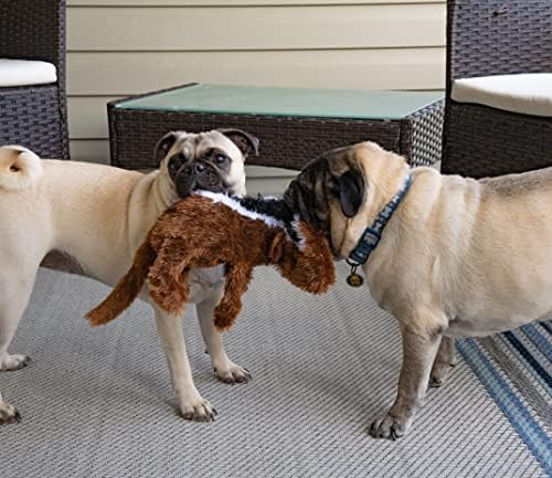 FGA MARKETPLACE Racoon-Squirrel Flat NO Stuffing NO Squeak Plush Dog Toy, Funny Style Will Entertain Your Pet for Hours, Recommended for Small and Medium Dog 21 INCH Long