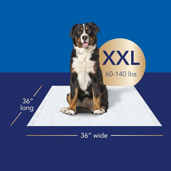 Scott Pet Guard Advanced Dog Pads - XXL - 36" x 36" - 40 Pack of Pet Pads
