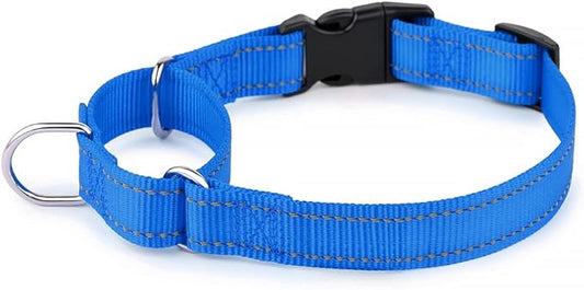 Plutus Pet Reflective Martingale Collar with Buckle - Durable and Adjustable Training Collar for No Pulling, Dog Choker Collar for Small Medium Large Dogs, Navy Blue, M