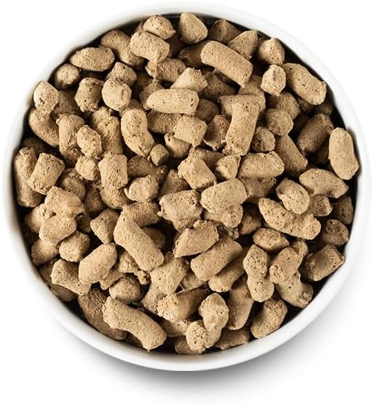 Open Farm Freeze Dried Raw Dog Food, Humanely Raised Meat Recipe with Non-GMO Superfoods and No Artificial Flavors or Preservatives (3.5 Ounce (Pack of 1), Pasture Raised Lamb)