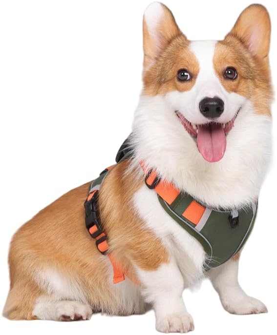 AirTag Dog Harness,Cat Harness All-in-One Dog Vest, Anti-Pull, Anti-Suffocation Reflective Dog Vest for Small, Medium, and Large Dogs and cat (Green, M(Chest:18-24.8",Neck:(17.3-21.2"))
