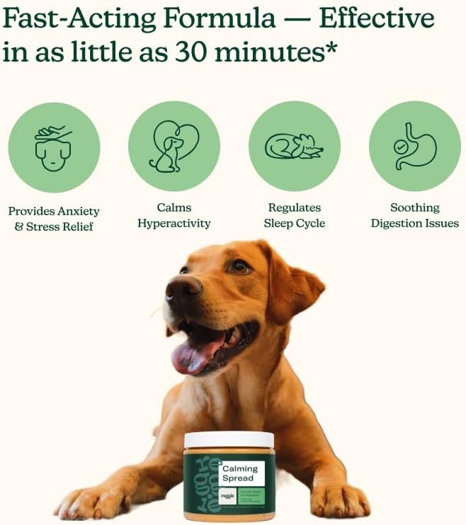 Reggie Calming Spread for Dogs with L-Theanine & Melatonin + Mint Green Lick Mat | Natural Peanut Butter Dog Anxiety Relief Bundle for Separation Anxiety, Thunderstorms, Travel & Stress | 30 Servings