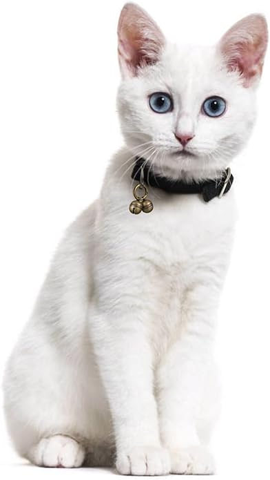 Dog Bells for Pet Tracking, 4 Extra Loud Dog and Cat Bells for Collar,Copper Bells with Quick Clips