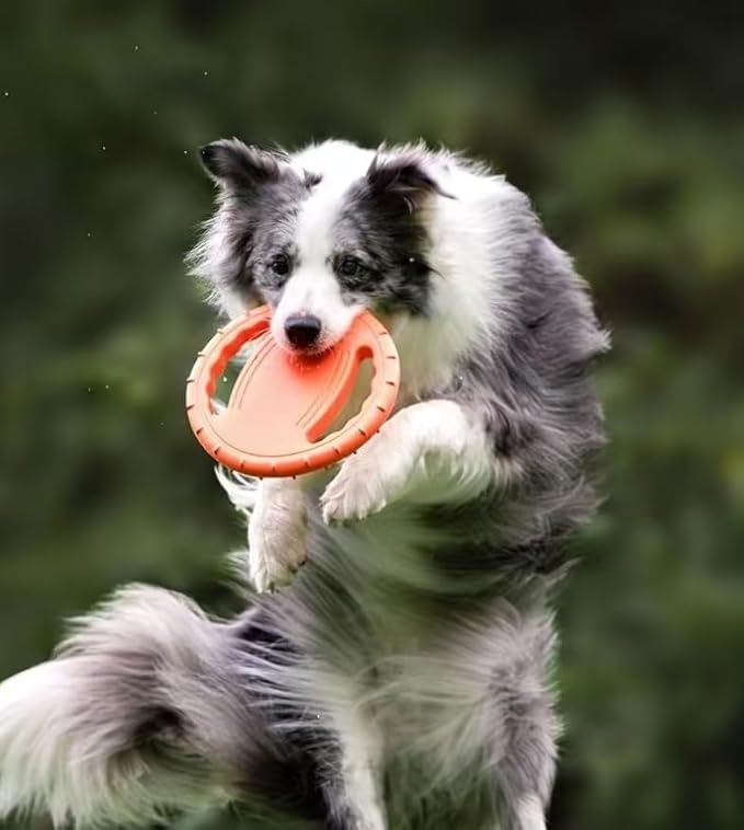 Orange Flying Disc Toy for Dog Outdoor Puppy Dog Pull Loop Toy Water Swimming Pool Lawn Yard Animal Activity Training Toys Sports Gift- 8.26" Interactive and Fun Training Doggy Paddle Flyers