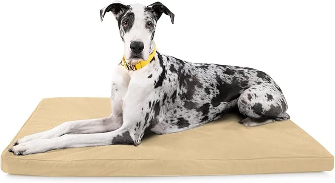 K9 Ballistics Tough Ripstop Orthopedic Crate Bed - Thick, Durable XXL Kennel Pad with Washable Cover for XX Large Dogs, 53 x 36 fits 54” Wire Crate, Tan