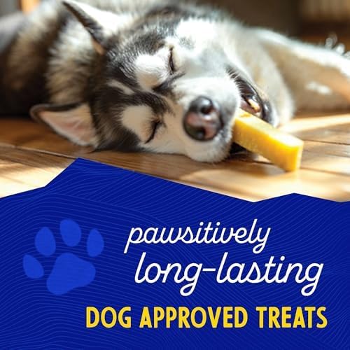 Himalayan Dog Chew for Big Dogs - Long Lasting, Stain Free, Protein Rich, Low Odor - Natural, Healthy & Safe - No Lactose, Gluten Or Grains - XXLarge for Dogs 75 Lbs & Larger - an Everest Sized Treat