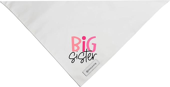 Realeaf Big Sister Dog Bandanas Pet Scarf for Small and Medium Female Dogs New Baby Announcement Pet Accessories Pregnancy Reveal Ideas (Big Sister, Small)