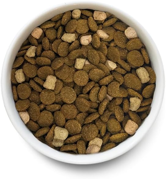 Open Farm, RawMix Dry Dog Food with Ancient Grains for Large Breeds, Protein-Packed Kibble Coated in Bone Broth with Freeze Dried Raw Chunks, Salmon Chicken & Turkey, Large Breed Recipe, 20lb Bag