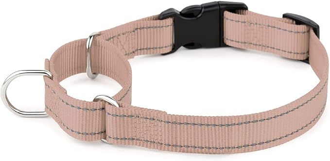 Plutus Pet Reflective Martingale Collar with Buckle - Durable and Adjustable Training Collar for No Pulling, Dog Choker Collar for Small Medium Large Dogs, Beige, L