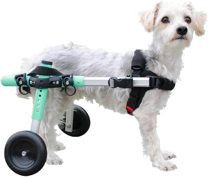 Walkin' Wheels Small Dog Wheelchair, Lightweight Dog Wheelchair for Back Legs, 11-14 lbs, for 9-13 inches Leg Height - Seafoam