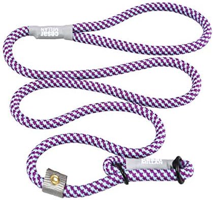 Cesar Millan Slip Lead Leash™ - 2-in-1 Slip Collar Dog Training Lead & Collar | Heavy Duty Durable Weatherproof Rope Leash, No Pull Training | Length 4ft Diameter 4/10”(Regular, Aqua/Purple)