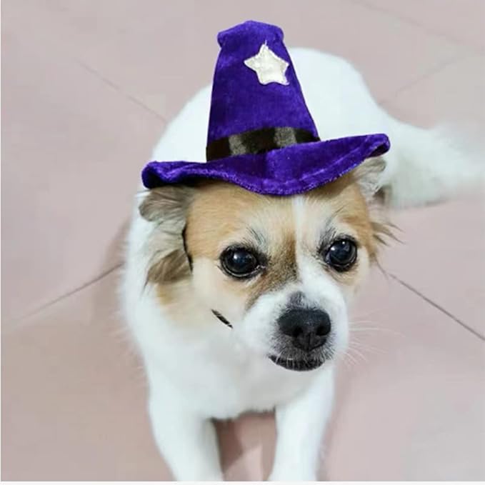 ANIAC Pet Halloween Costume Adjustable Magic Witch Hat with Bell Star Decor for Cats and Small Dogs Purple