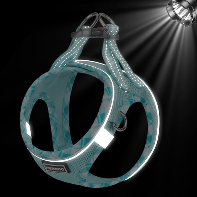 Mercano Soft Mesh Dog Harness and Leash Set, No-Chock Step-in Reflective Breathable Lightweight Easy Walk Vest Harnesses with Safety Buckle for Small Dogs, Cats (Light Blue, L)