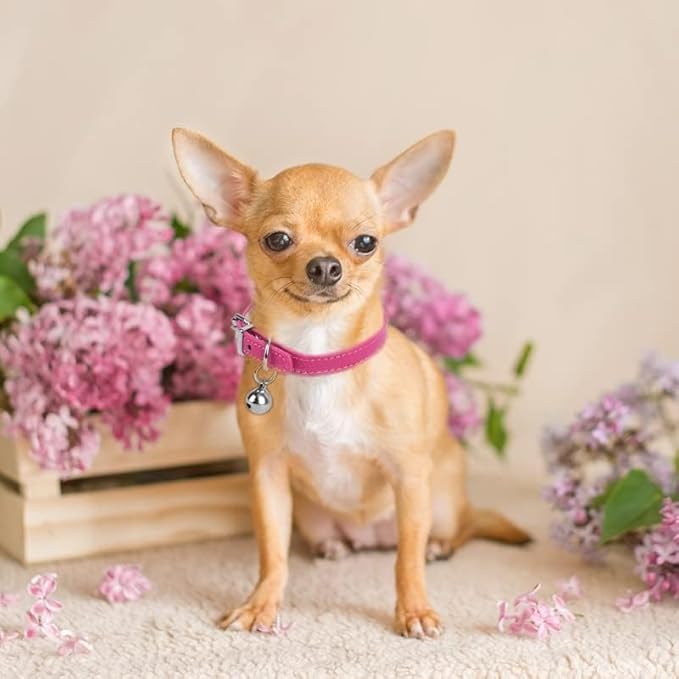 XXS Teacup Dog Collar - Pink, 3/8 inch Width (10 Colors)