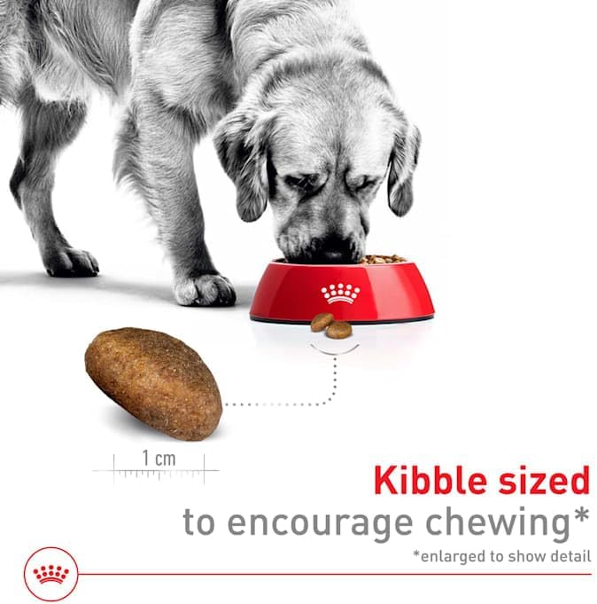 Royal Canin Size Health Nutrition Large Adult Dry Dog Food, 40 lb Bag