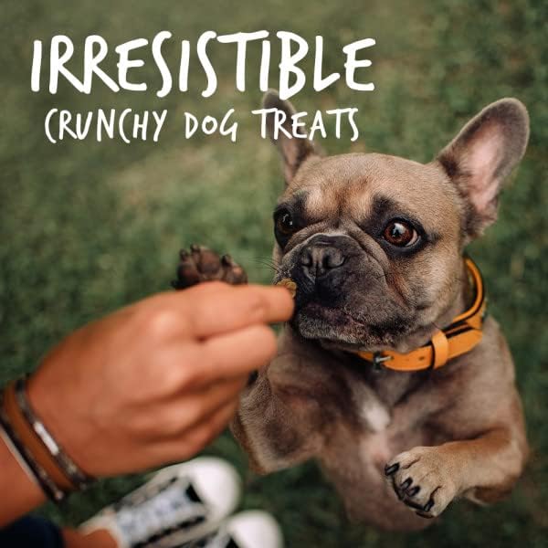Fruitables Baked Dog Treats, Healthy Pumpkin Treat for Dogs, Low Calorie & Delicious, No Wheat, Corn or Soy, Made in the USA, Pumpkin and Banana Flavor, 7oz