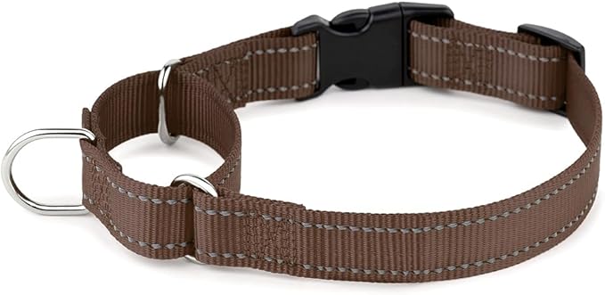 PLUTUS PET Reflective Martingale Collar with Quick Snap Buckle,No Pull Dog Choker Collar for Small Medium Large Dogs,XS, Chocolate