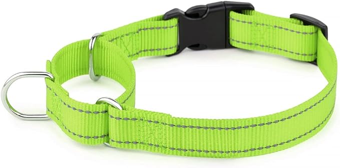 Plutus Pet Reflective Martingale Collar with Buckle - Durable and Adjustable Training Collar for No Pulling, Dog Choker Collar for Small Medium Large Dogs, Bright Green, XS