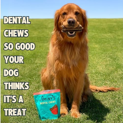 Jiminy's Dental Chews for Dogs, Cinnamon Flavor, Scientifically Proven to Improve Oral Health, Dental Bones Clean Teeth, Fight Bad Breath, and Removes Plaque and Tartar, Large, 7ct (Pack of 1)